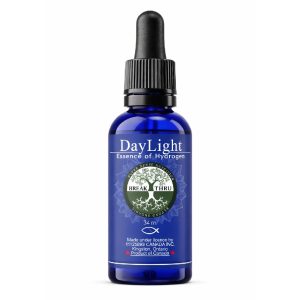 DayLight
